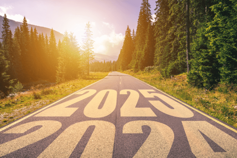 2024 Market Review and 2025 Outlook